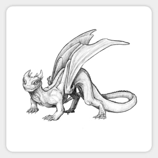 Adolescent Dragon Sticker